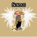 Avatar de Sokaii