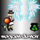 Avatar de magicien-d-n